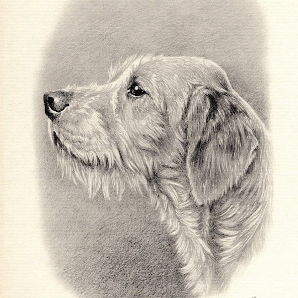 1938 Antique Welsh Foxhound Art Print Marguerite Kirmse Welsh Hound Dog Art Hunting Dog Art Lodge Cottage Home Decor Gift 5941h