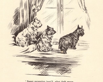 Vintage Cairn and Scottish Terrier Print Gallery Wall Art Decor 1930s Shakespeare Quote From Comedy of Errors 12061j