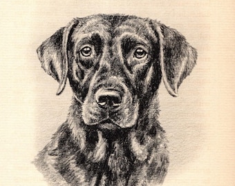 Antique Labrador Retriever Print Wall Art Decor 1938 Marguerite Kirmse Labrador Retriever Illustration Gallery Wall Art Birthday Gift 12418w