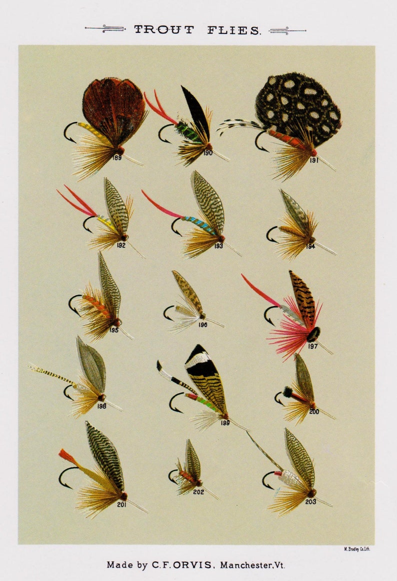 Vintage Fly Fishing Print Trout Flies Print Beach House Decor Etsy