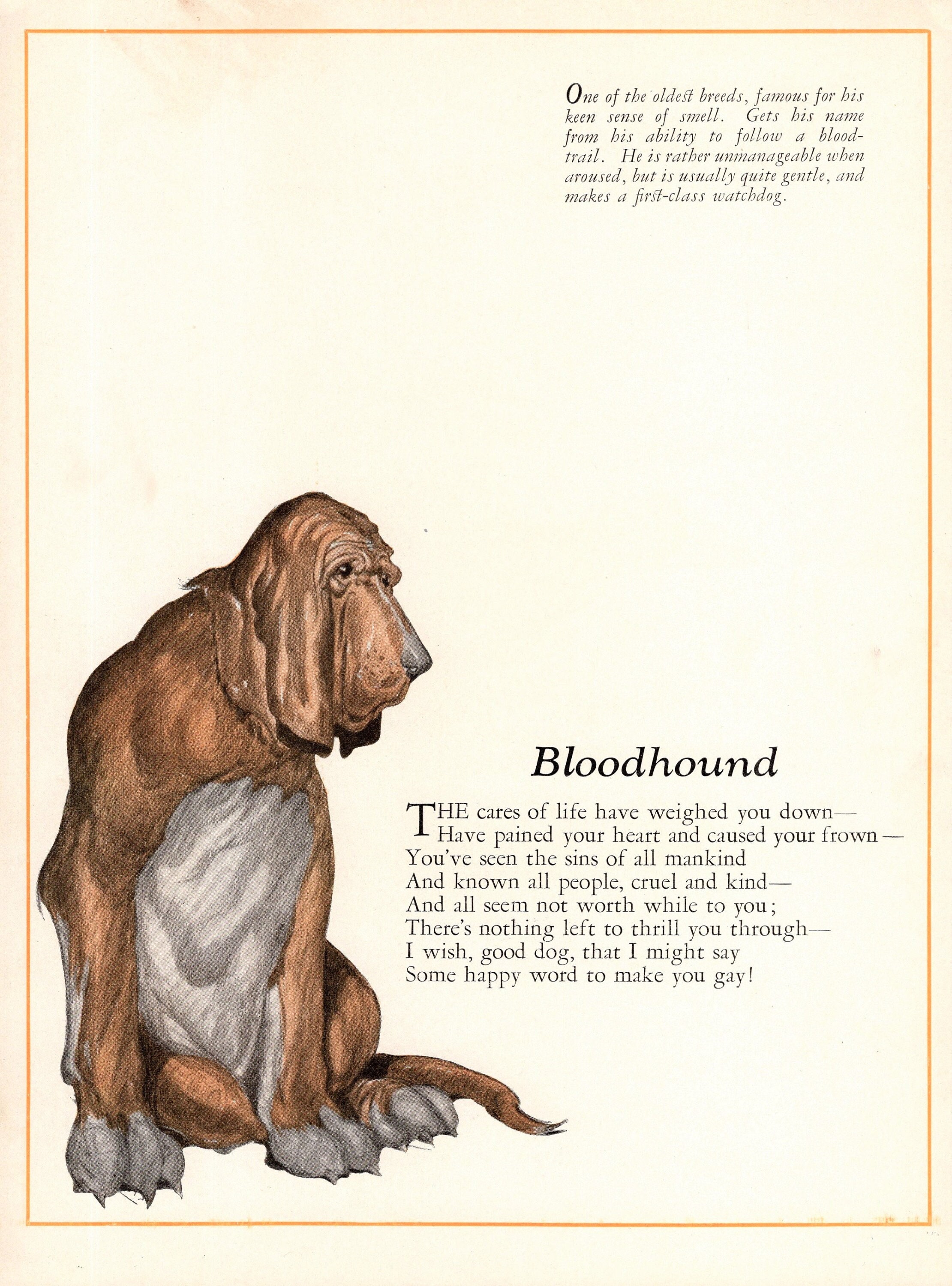 Bloodhound Cartoon - Etsy