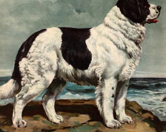 1942 Antique Newfoundland Dog Print Vintage Edwin Megargee Newfoundland Illustration Gift Wall Art Home Library Decor 13543r