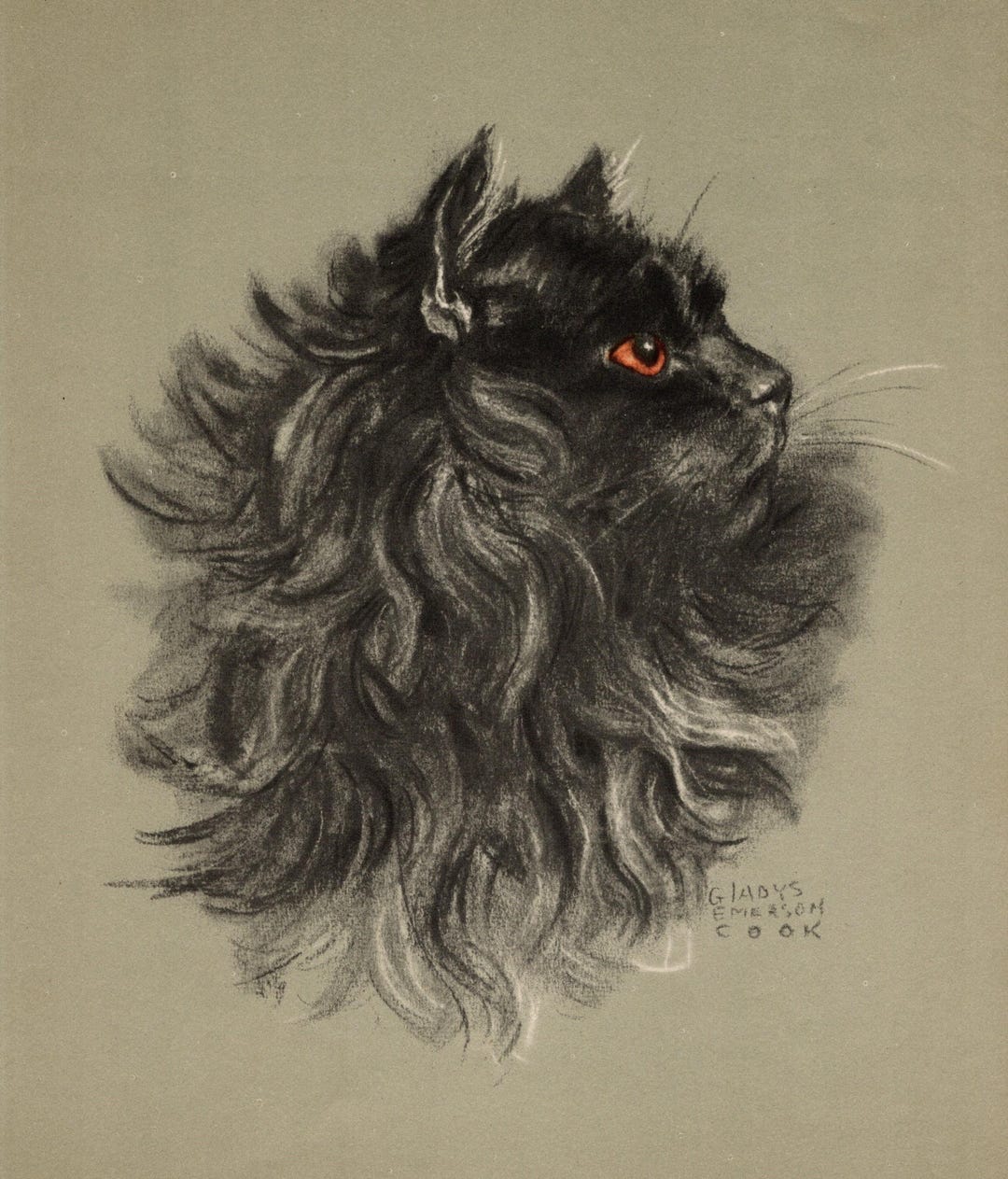 1941 Antique Black Persian Cat Print Wall Art Decor Vintage Cat ...