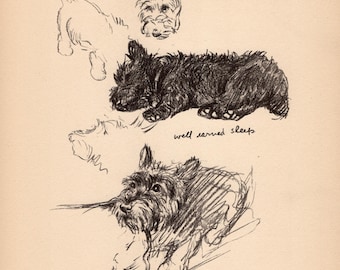 1940 Antique Scottish Terrier Print Wall Art Decor Vintage Lucy Dawson Scottie Dog Illustration Decor Gift for Birthday Friend 13338w