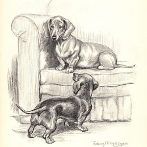 Vintage Dachshund Print Wall Art Decor Edwin Megargee Dachshund Illustration Gallery Wall Art Kids Room Decor  Birthday Gift Idea 13307k