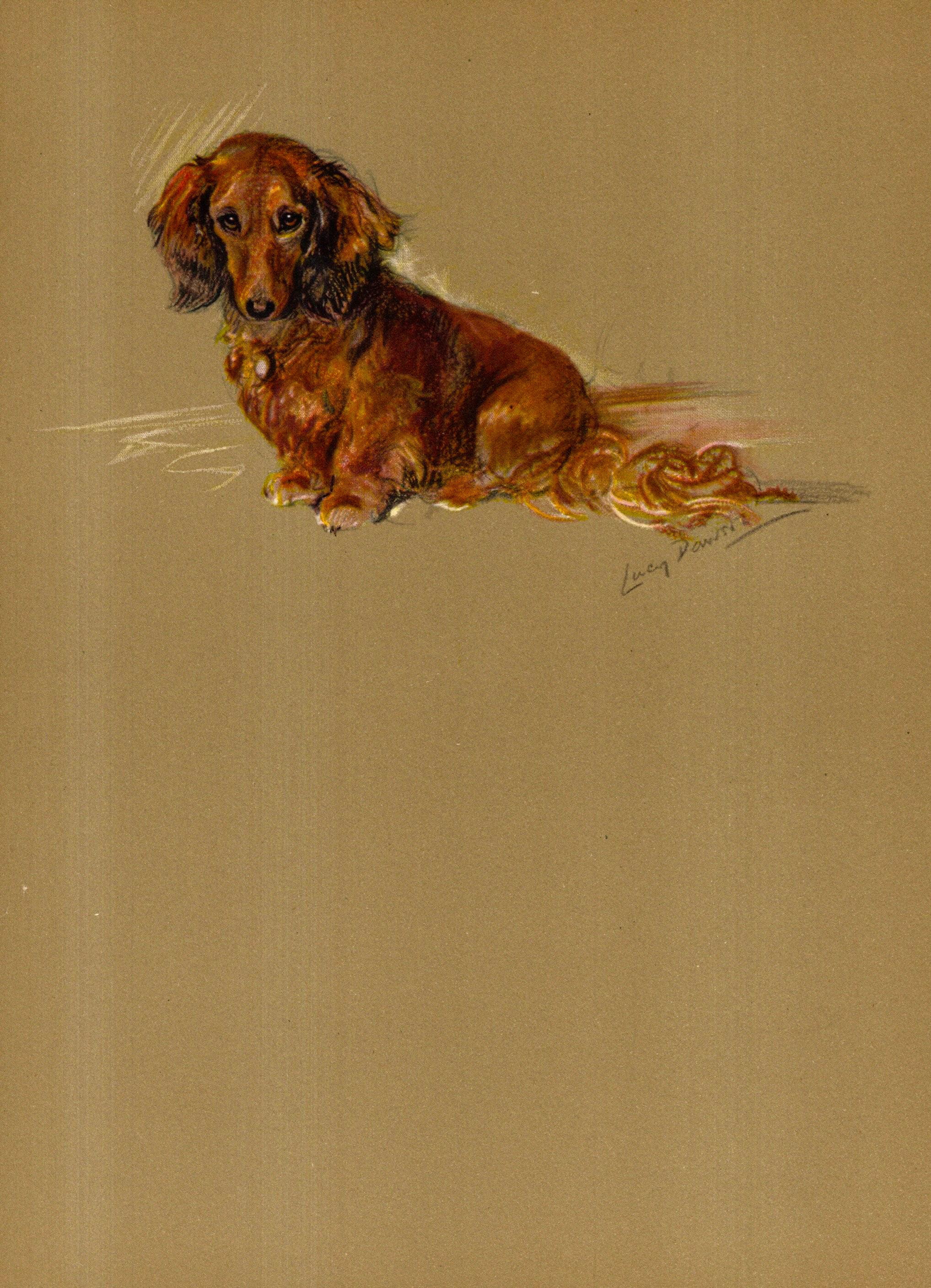 Vintage Dachshund Print 1940s Lucy Dawson Dachshund Illustration