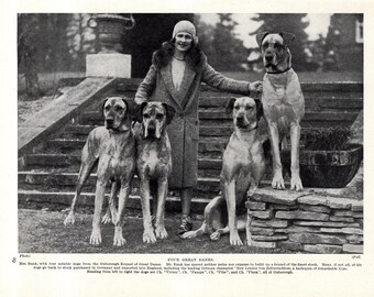 1930's Antique GREAT DANE Dog Print Ouborough Kennels Champions Vivien Pampa Pibe Plaza Great Dane Print Birthday Gift Idea 12933u