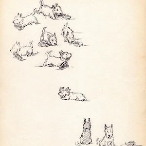 Lucy Dawson, 1937, Kunstdruck mit schottischem Terrier, Vintage-Illustration, Galerie-Wandbild, Geschenk zum Geburtstag, 13711h