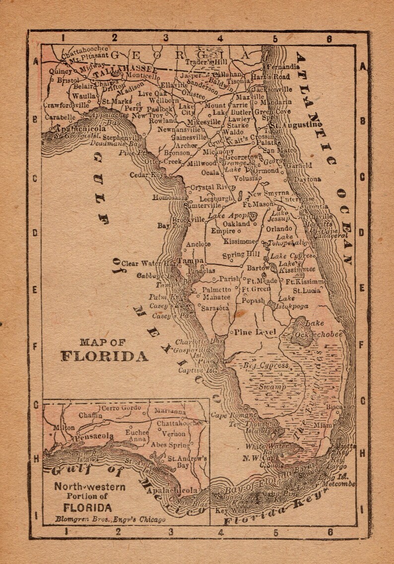 1888 Antique FLORIDA State Map - Il 794xN.2443712823 Sajy