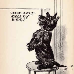 Humorous Scottish Terrier Print Wall Art Decor 1930s Funny  Scottie Illustration by Zito Gallery Wall Decor Gift for Birthday 5501L