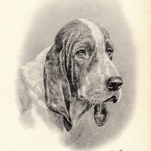 Stampa antica di Basset Hound 1938 Marguerite Kirmse Basset Hound Art Illustration Cane da caccia Arte Lodge Cottage Home Decor 1178g