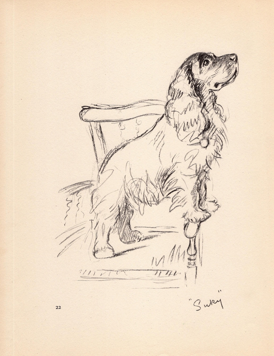 1940 Antique Cocker Spaniel Print Wall Art Decor Lucy Dawson Cocker ...