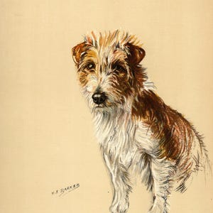 Lovely Fox Terrier Art Print Wall Art Decor Vintage 1938 K Barker Fox Terrier Art Illustration Fox Terrier Gift  kfb 10264n
