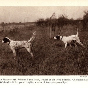 Setter anglais et pointeur imprimés de 1948 chiens de chasse Lucky Strike Lodge Cottage de Rumson Farm Loch Tarheelia, décoration d&#39;intérieur 10451c