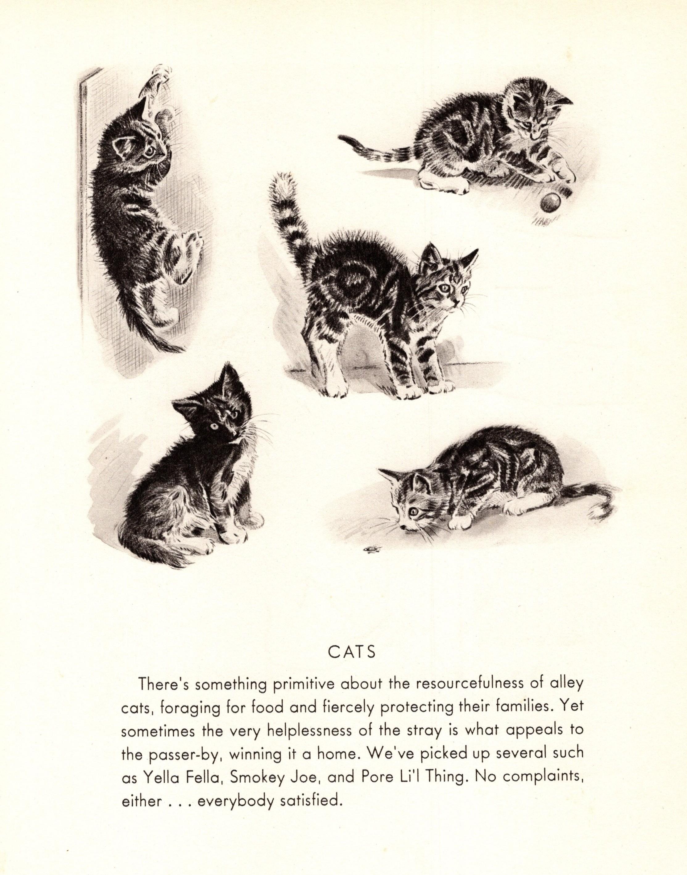 1940s Sweet Tabby Cat Kitten Print Wall Art Decor Vintage Kittens ...