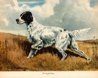 1942 Antique English Setter Print Wall Art Decor Vintage Edwin Megargee Hunting Dog Gundog Art Print Birthday Gift Home Library Decor 7693p