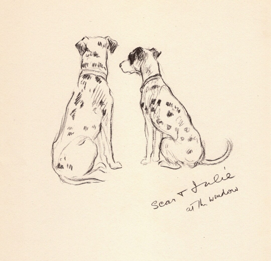 1940 Sweet Dalmatian Print Wall Art Decor Vintage Lucy Dawson Etsy