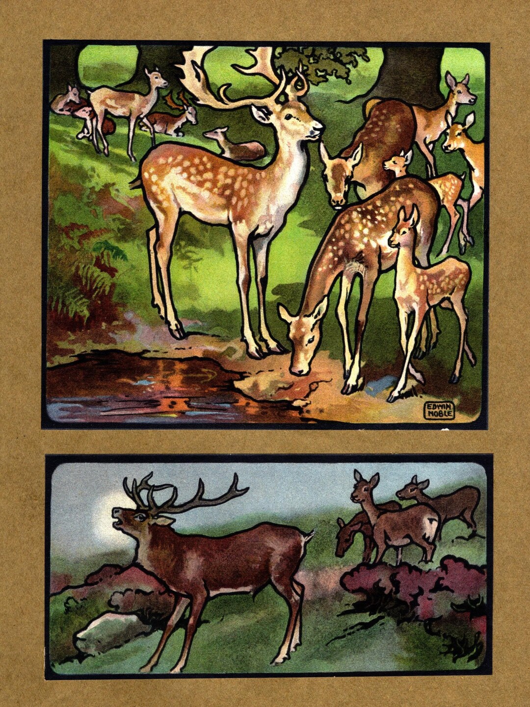 Antique Deer Print Edwin Noble Vintage Deer Art Illustration Wall Art ...