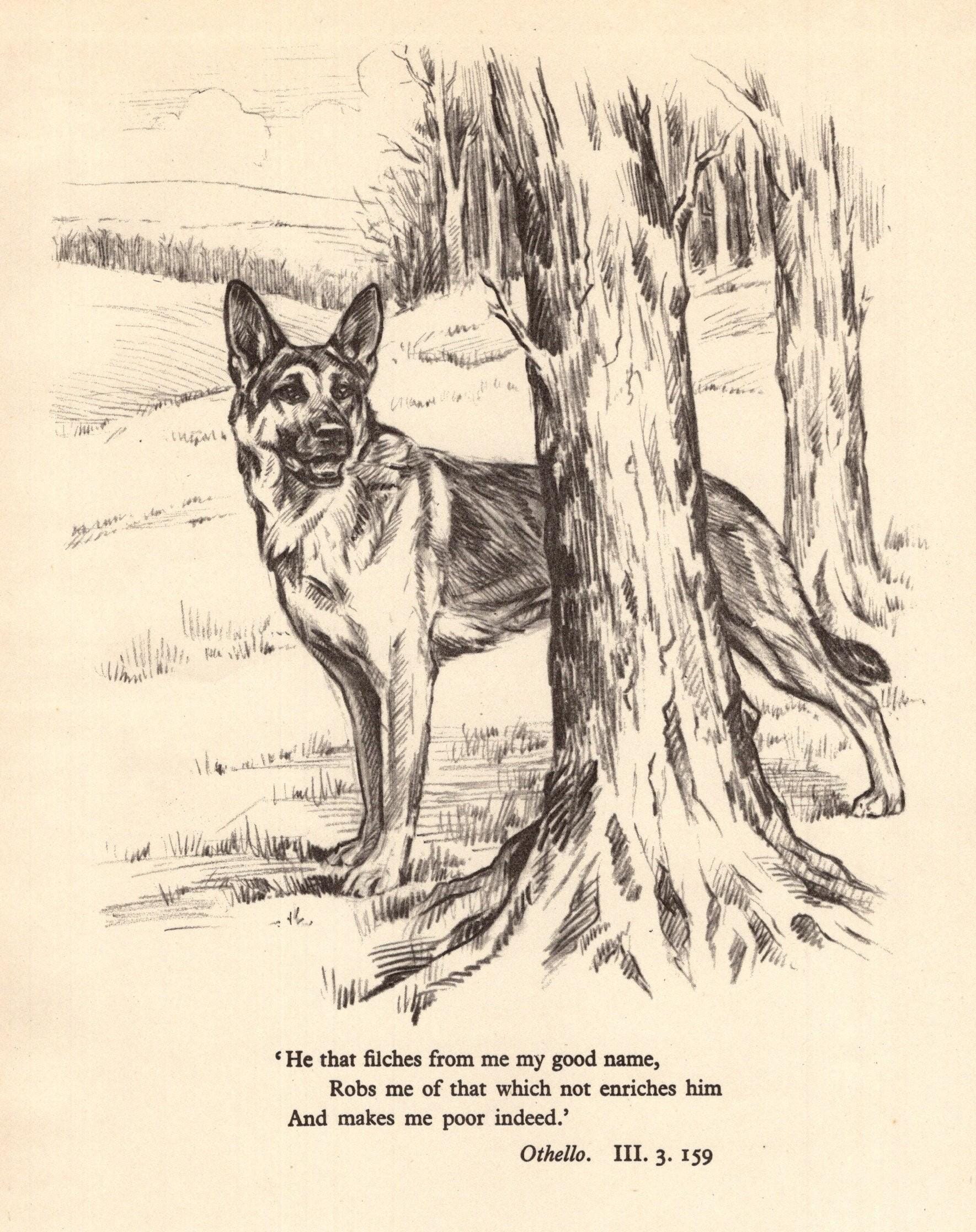 Filches German Shepherd Print Gallery Wall Art Decor 1930s Shakespeare Othello ...