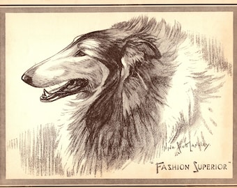 1930's Antique Collie Print Wall Art Decor Nina Scott Langley Fashion Superior Collie Illustration Gallery Wall Art Collie Gift 13539m