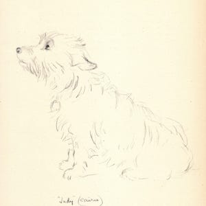 Set of Two 1940s Cairn Terrier Print 2 Prints Lucy Dawson Cairn Terrier Illustration Wall Art Decor Gift for Birthday Friend 9787a