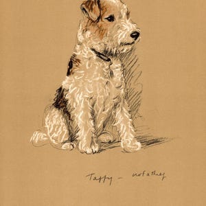 Stampa antica di Fox Terrier del 1940, decorazione da parete, illustrazione vintage del cane Fox Terrier di Lucy Dawson, regalo per il compleanno 10866r