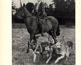 1930's Antique German Shepherd Print Wall Decor Breeder Thelma Evans on Horse and her Alsatian Dogs 13534g