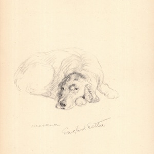 Lucy Dawson English Setter Art Print 1940s Vintage English Setter Illustration Wall Art Decor Gift for Birthday Friend 11101a