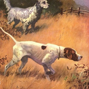 Lámina vintage de Pointer, lámina de Setter inglés, decoración de pared, lámina de perro de caza, ilustración de perro de caza de Wesley Dennis, regalo de cumpleaños wd 13360n