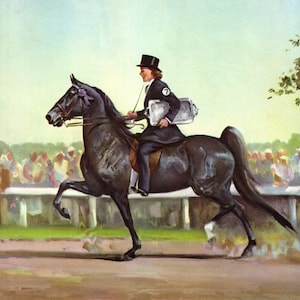 1950er Jahre American Saddle Horse Print Wandkunst Dekor Reiten Art Wesley Dennis Etaster Dekor für Mädchen Zimmer Geburtstagsgeschenk wd 13020s Bild 1