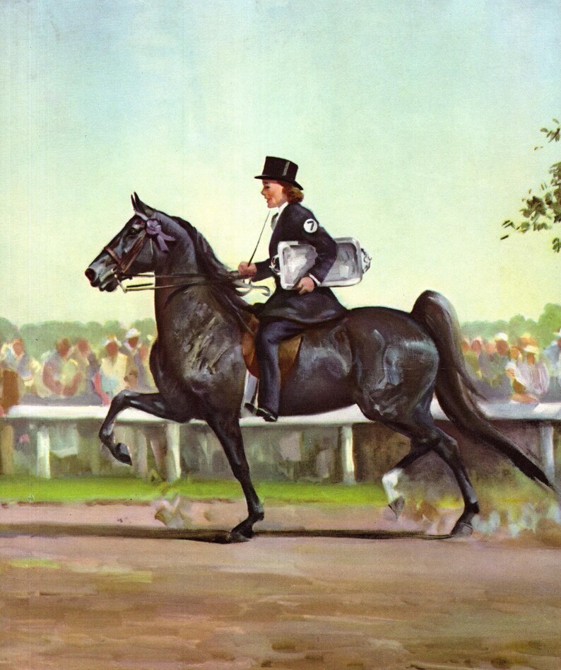 1950er Jahre American Saddle Horse Print Wandkunst Dekor Reiten Art Wesley Dennis Etaster Dekor für Mädchen Zimmer Geburtstagsgeschenk wd 13020s Bild 1