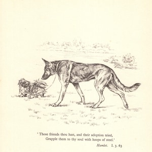 German Shepherd and Pekingese Print Gallery Wall Art Decor 1930s Shakespeare Hamlet Quote Those Friends Thou Hast 11076m