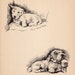 see more listings in the Vintage Dog - Cat Prints section