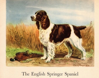 1942 Antique English SPRINGER SPANIEL Dog Print Vintage Edwin Megargee Hunting Dog Art Print Birthday Gift Wall Art Home Decor 7697t