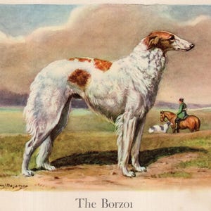 Antique Borzoi Print Wall Art Decor Vintage Russian Wolfhound Illustration 1942 Edwin Megargee Borzoi Home Decor Birthday Gift Idea 12763w