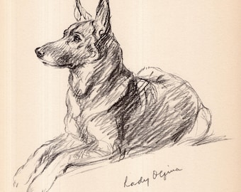 1940 Antique German Shepherd Print Wall Art Decor Vintage Lucy Dawson German Shephard Illustration Gift for Birthday Friend 12914j