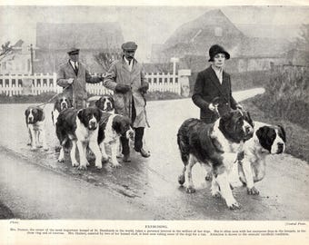 Antique English Setter Art Print 1931 Ward Binks English Setter