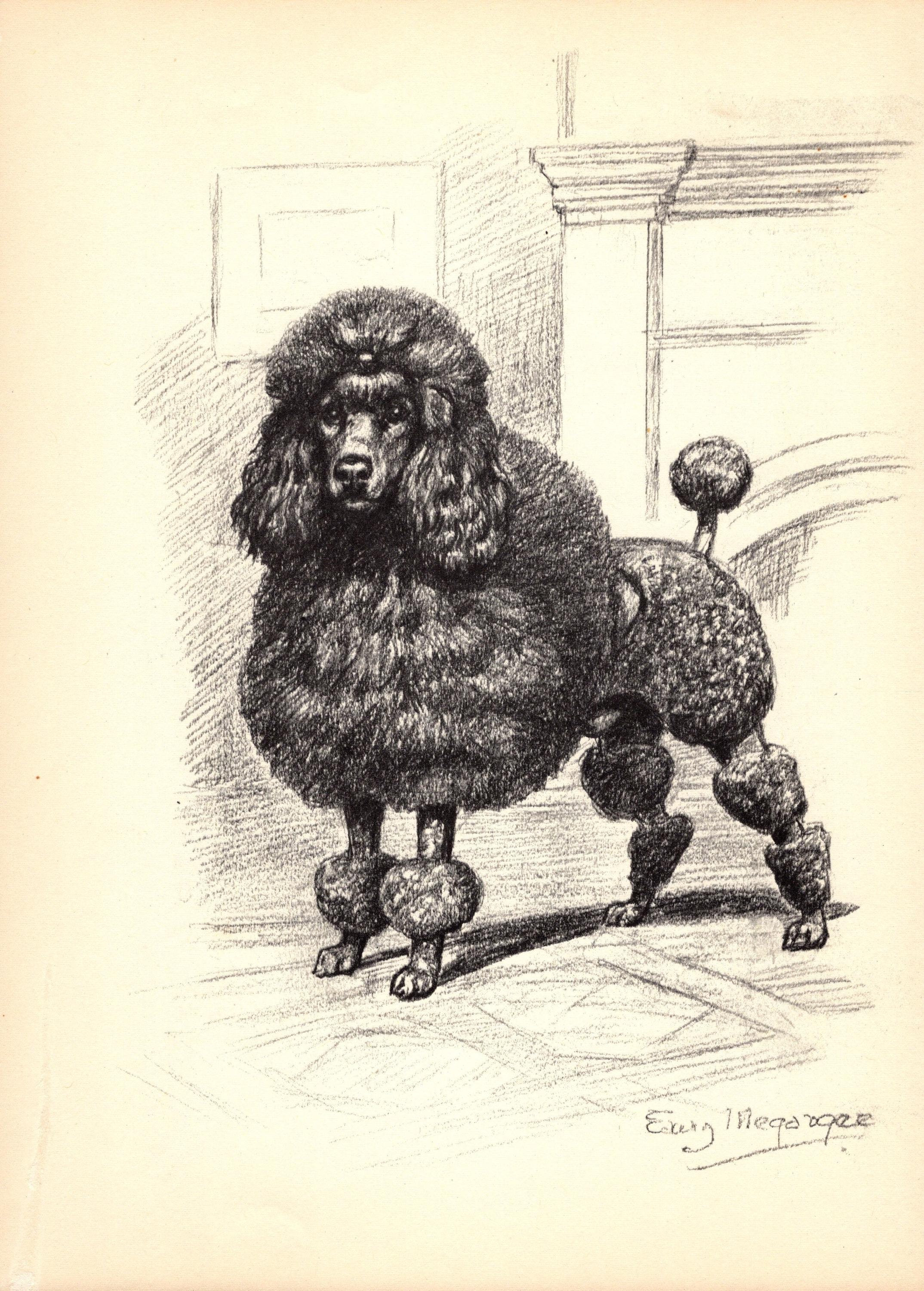 Doodles and Doggerel: Arup, Ove, Nyquist: Amazon.com: Books