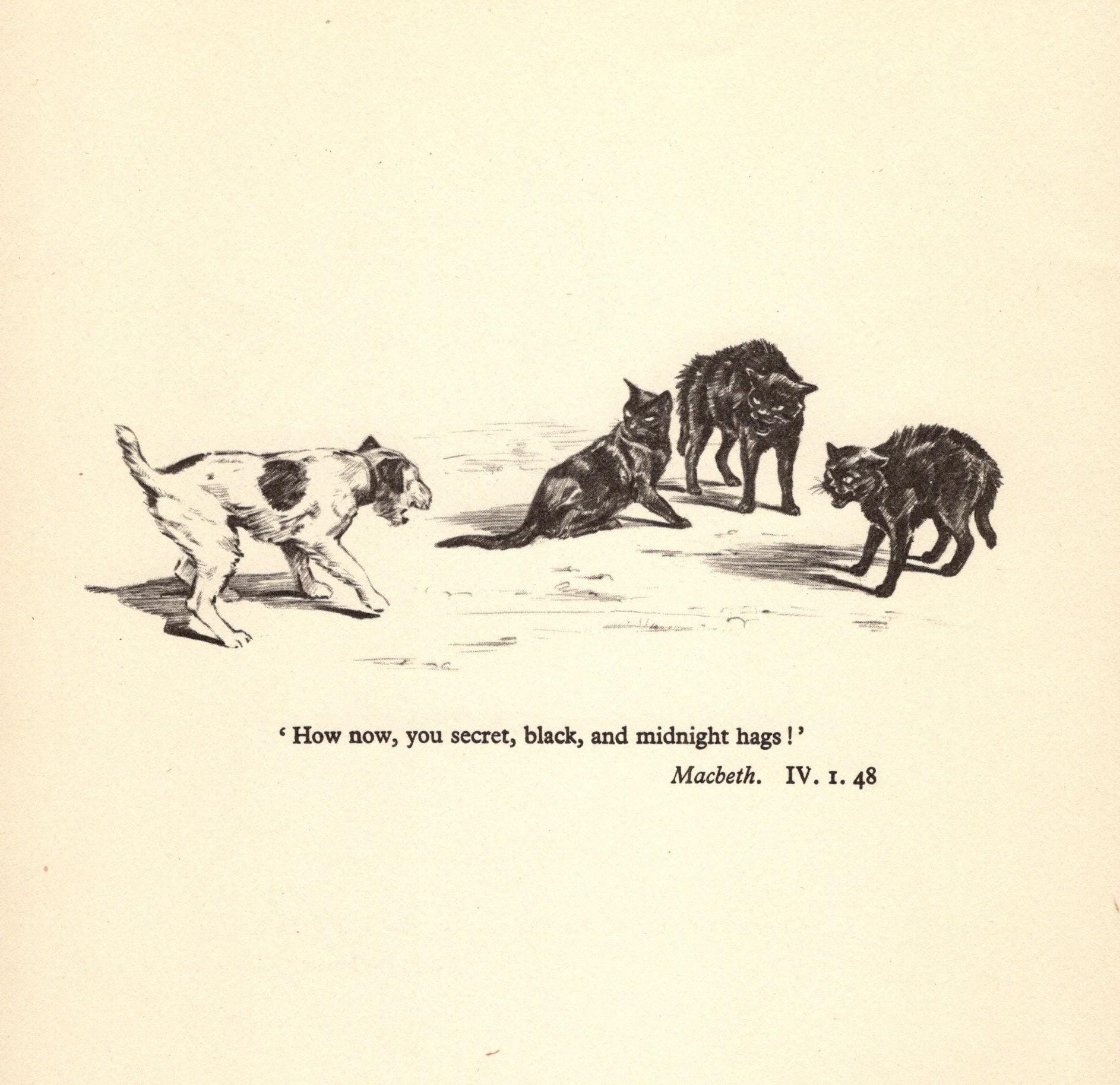 Vintage Fox Terrier and Cats Print Gallery Wall Art Decor 1930s Shakespeare Macbeth Quote How Now You Secret Black Midnight Hags 9722L