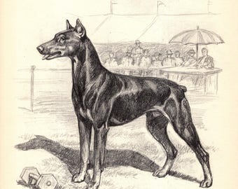 Vintage Doberman-tryck Väggkonstdekor Edwin Megargee Doberman-illustration Galleri Väggkonst Heminredning Presentidé 11302j