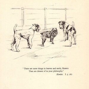 1930's Antique FRENCH BULLDOG Print 4 Champion Dogs Bonhams