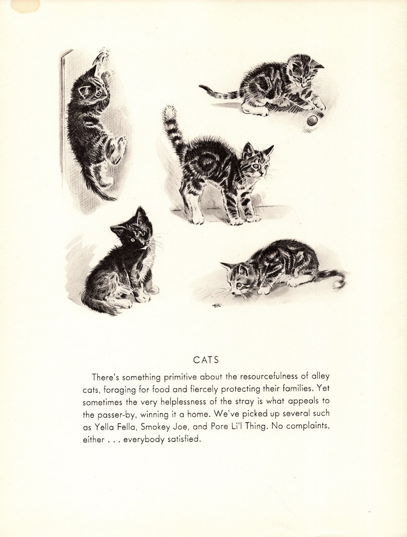 1940s Sweet Tabby Cat Kitten Print Wall Art Decor Vintage - Etsy