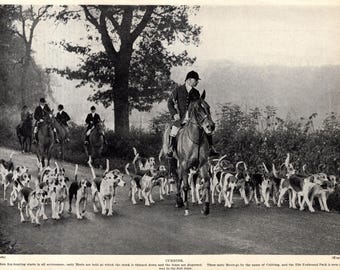 May include: Black and white photograph of a hunting scene. Several riders on horseback lead a pack of hounds along a path. The hounds are a mix of breeds, and the riders are dressed in traditional hunting attire.