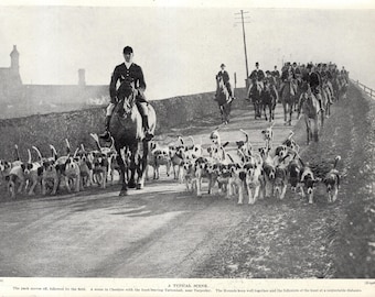 May include: A black and white photograph depicts a hunting scene. A group of riders on horseback lead a pack of hounds down a dirt road. The hounds are mostly white with black spots. The riders are wearing dark jackets and hats.