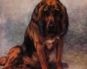 1930's Antique Bloodhound Print Wall Art Decor Vintage Maud Earl Bloodhound Illustration Gallery Wall Art Gift 7177s