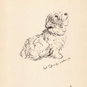Sweet Sealyham Terrier Print Wall Art Decor Vintage 1940 Lucy Dawson Sealyham Illustration Gallery Wall Decor Gift for Birthday 11285Q