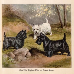 1942 Antique Cairn Scottish West Highland Terrier Dog Print Edwin Megargee Art Print Birthday Gift Wall Art Home Decor 12976z