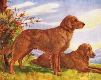 1930's Antique Golden Retriever Print Wall Art Decor Nina Scott Langley Hunting Dog Art Cottage Lodge Home Decor Birthday Gift 8143c