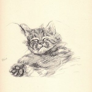 Vintage Lucy Dawson Cat Print Bliss Sleeping Cat Illustration Wall Art Decor Gift for Birthday Friend 7704b