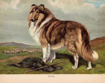 1942 Antike Collie Druck Wand Kunst Dekor Vintage Edwin Megargee Collie Illustration Druck Galerie Wand Kunst Haus Bibliothek Dekor 12232n